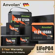 LiFePO4 100Ah 20AH10AH 12V